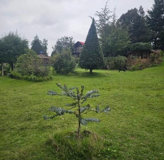 Пансион Hostal Teotlaneztli