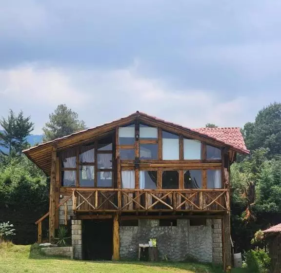 ペンション Hostal Teotlaneztli