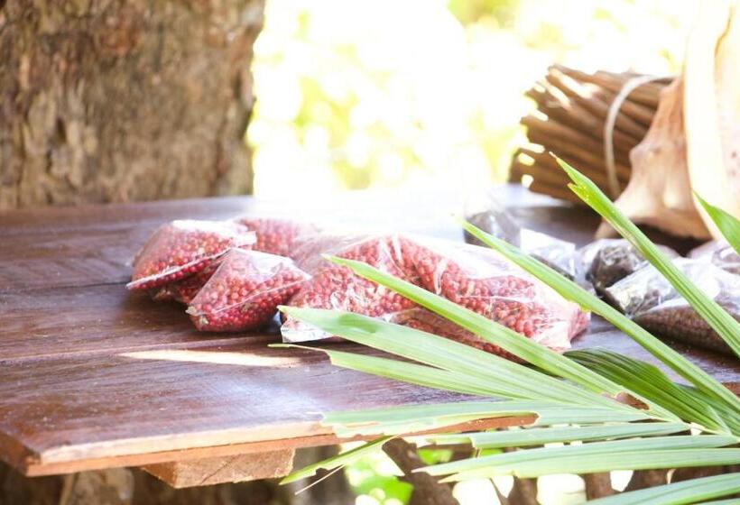 پانسیون La Buvette