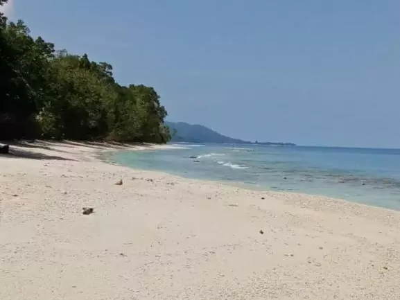 Majatalo Risen Raja Ampat