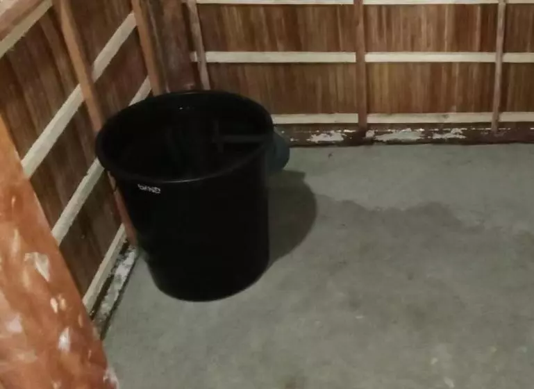 Majatalo Risen Raja Ampat