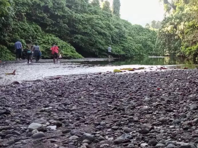 Majatalo Risen Raja Ampat