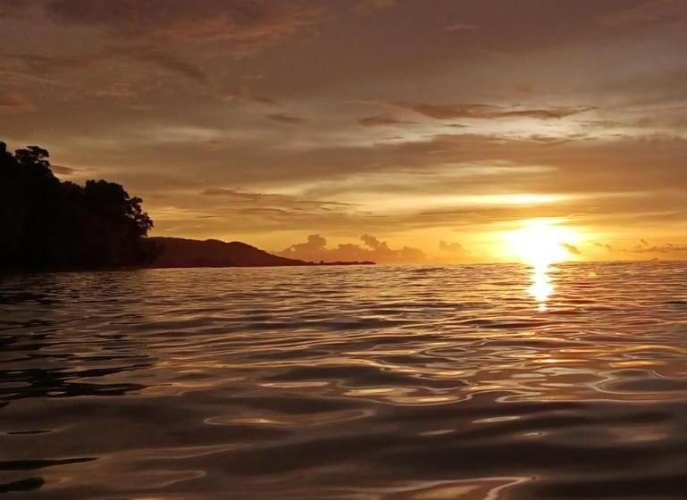 פנסיון Risen Raja Ampat