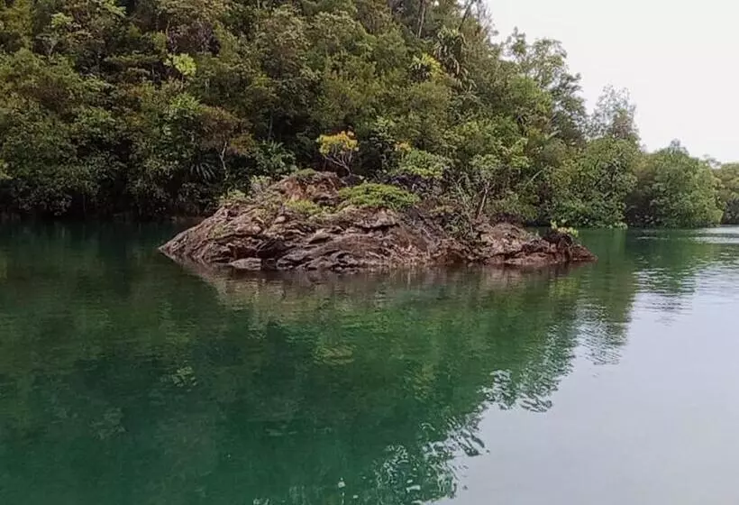 Majatalo Risen Raja Ampat