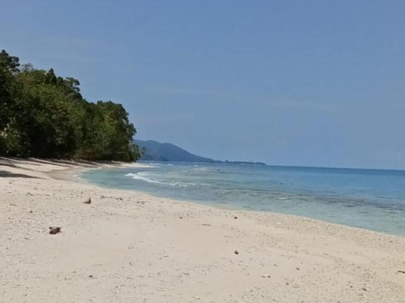 פנסיון Risen Raja Ampat