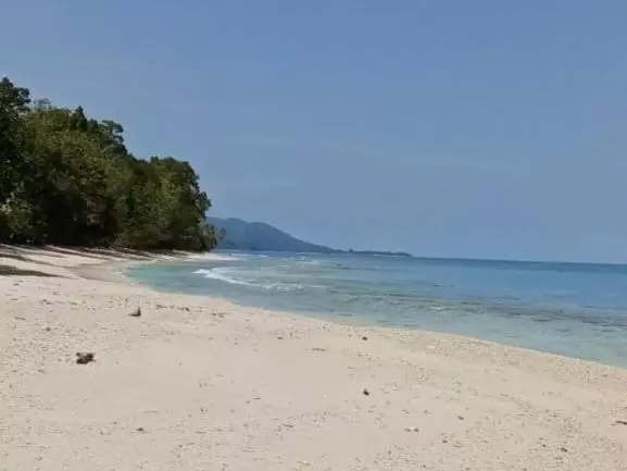 Majatalo Risen Raja Ampat
