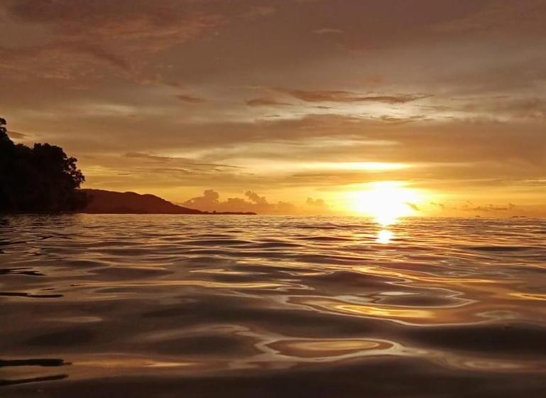 פנסיון Risen Raja Ampat