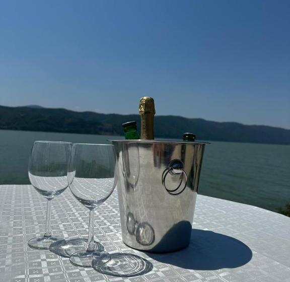 Pensiunea Casa Viselor