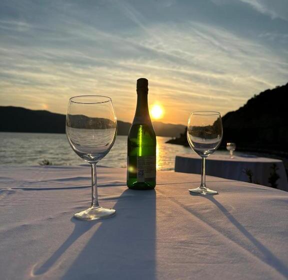 Pensiunea Casa Viselor