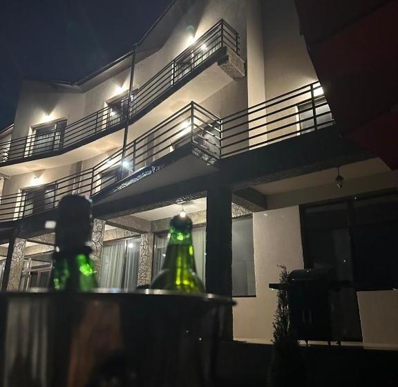 Pensiunea Casa Viselor