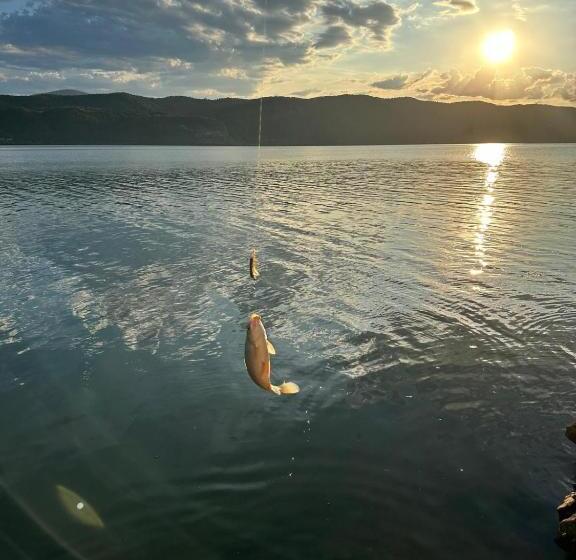 Pensiunea Casa Viselor