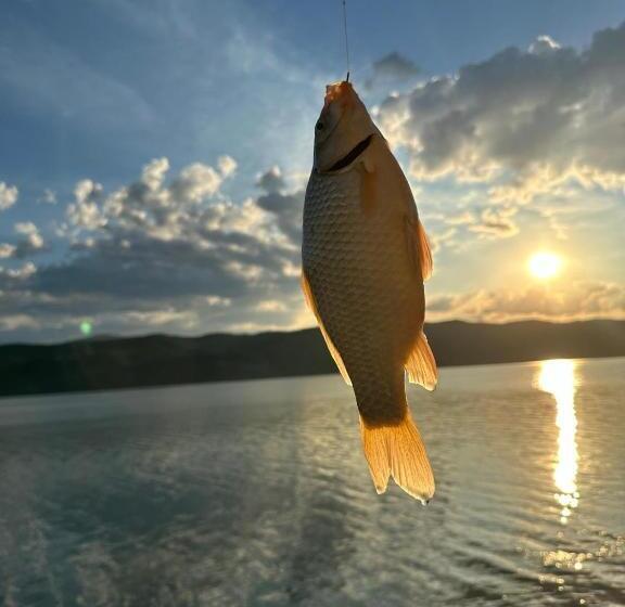 Pensiunea Casa Viselor