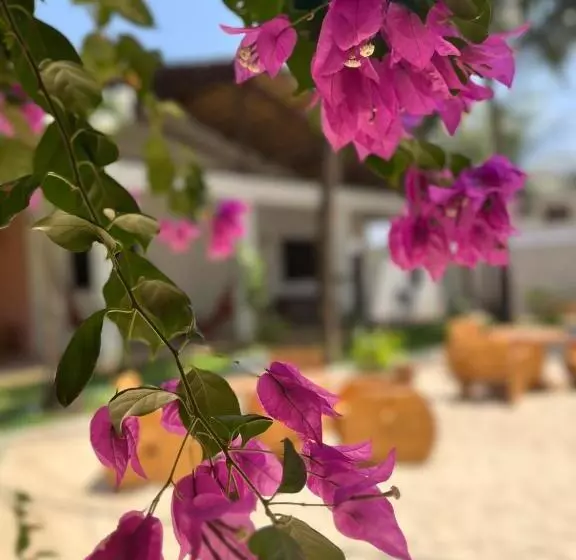 تختخواب و صبحانه Pousada Vila Flow