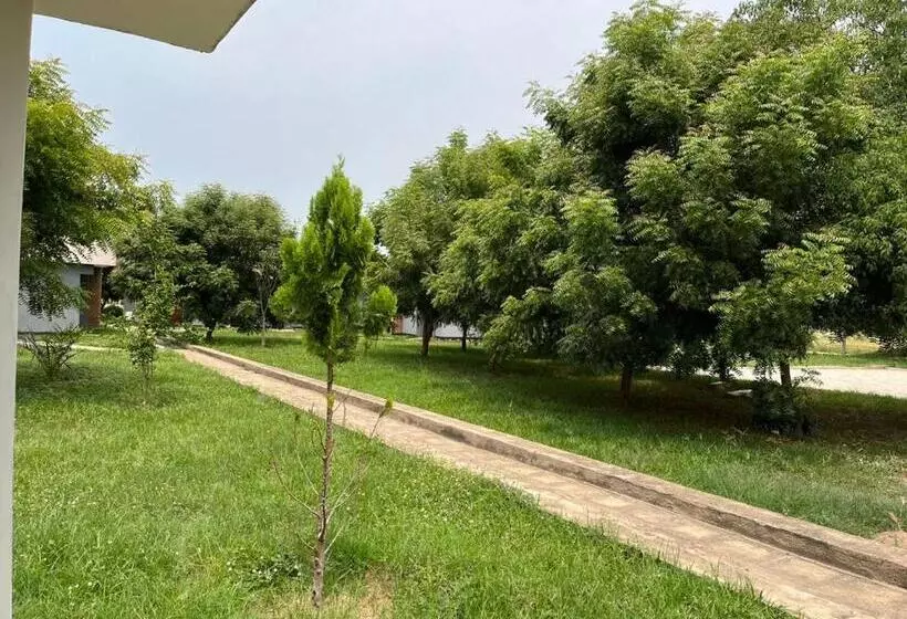 هتل The Pavonina