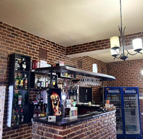 پانسیون Casa Alex Rasnov