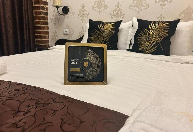 پانسیون Casa Alex Rasnov