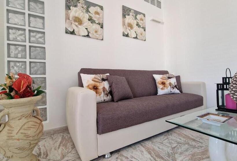 膳宿费 La Casa Di Sayf