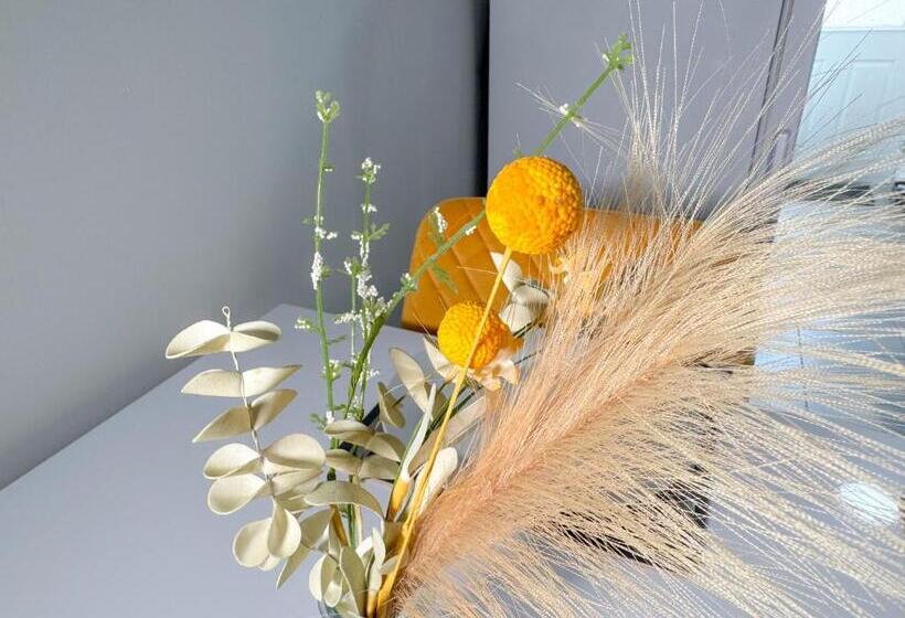 پانسیون Napier Retreat Ensuite Rooms