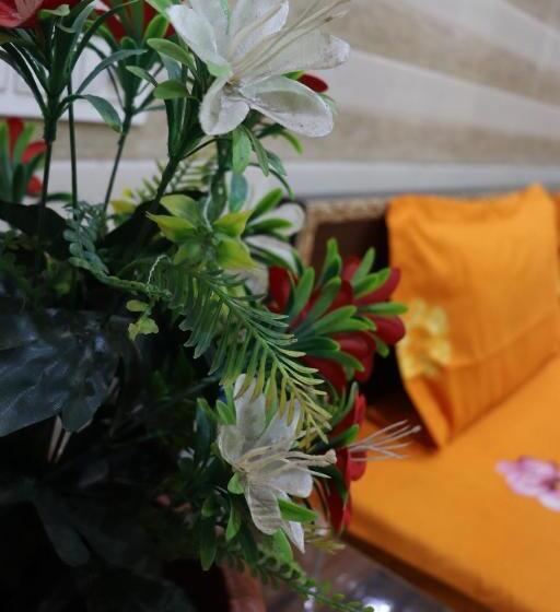 פנסיון Tirupati Bhawan