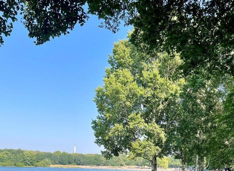 Hotel 7things   My Basic