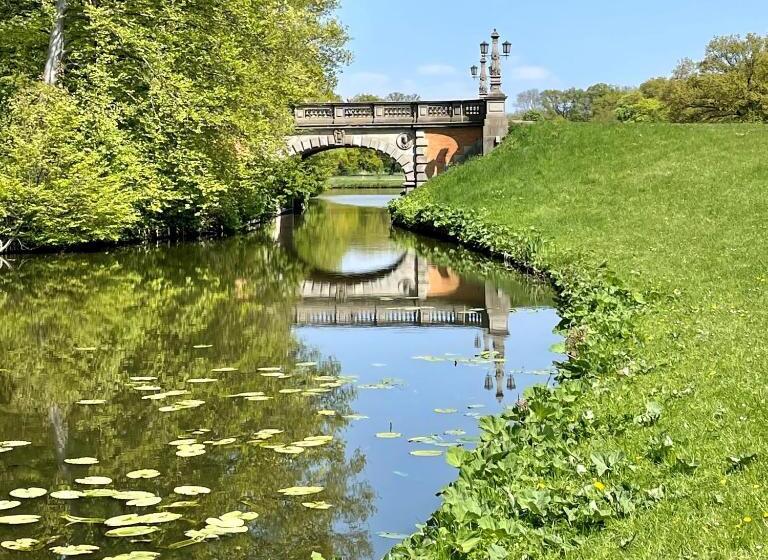 Hotel 7things   My Basic