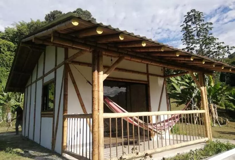 ホテル Cabaña Nido De Amazilia