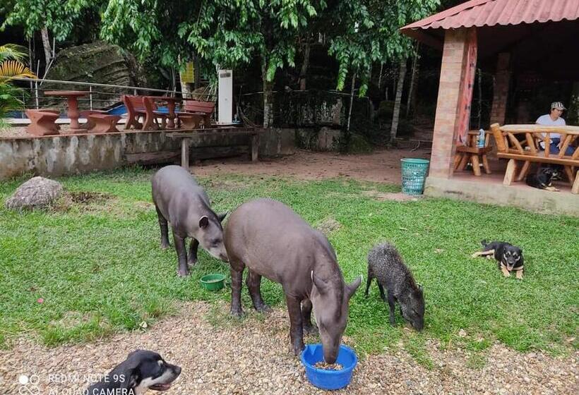 Отель Piedra Alta