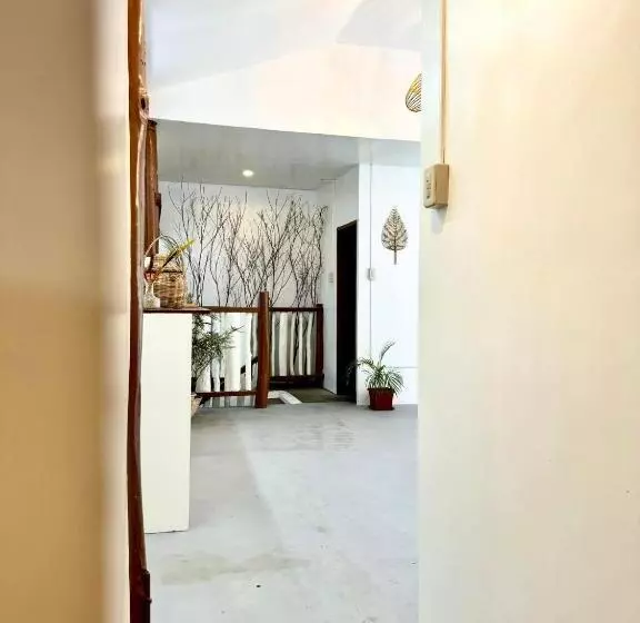 Mayad El Nido Hostel