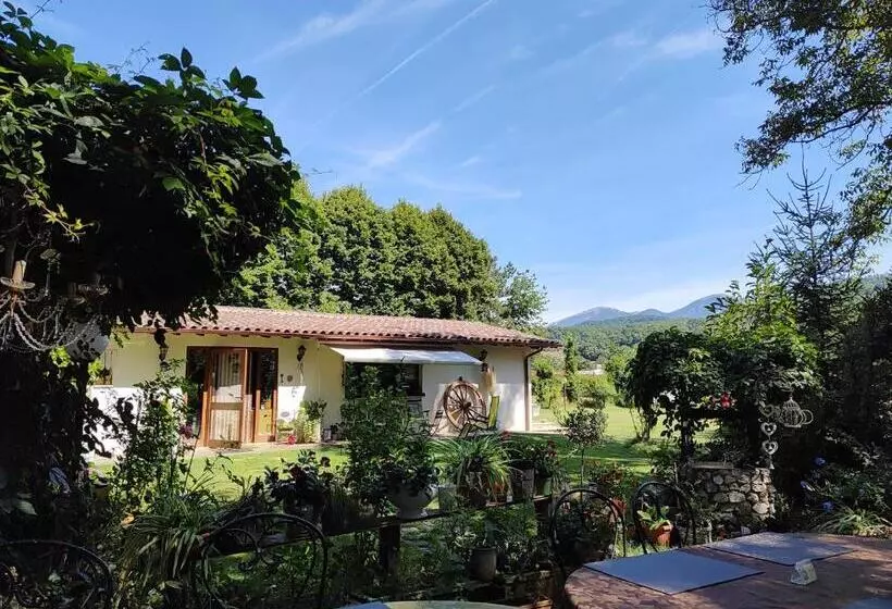 پانسیون Guest House La Palazzina