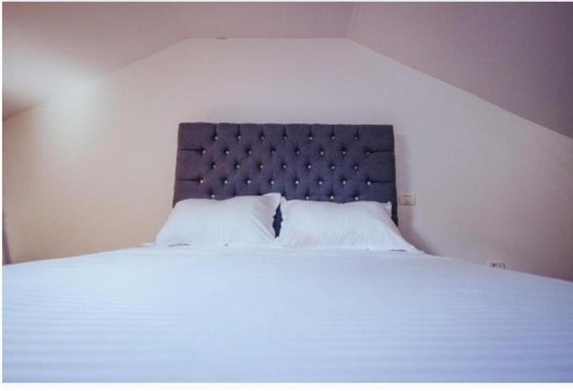 פנסיון Casa Radu