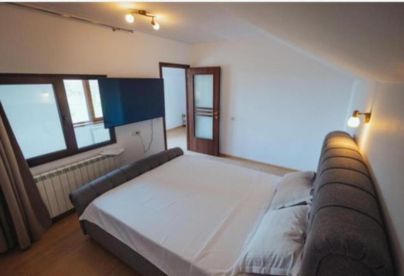 פנסיון Casa Radu