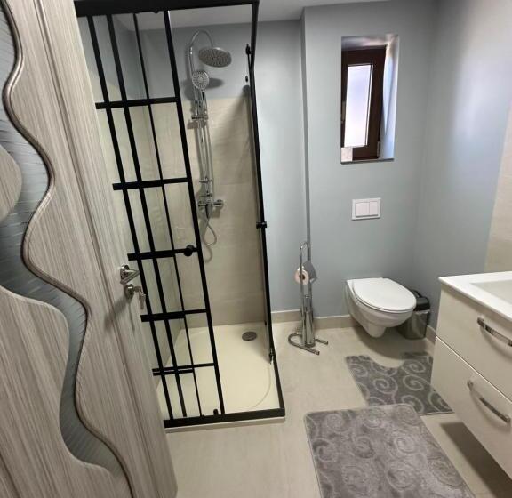 پانسیون Popasul Din Vale