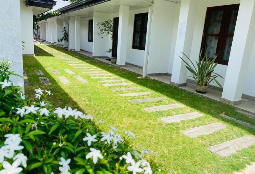 Premium Cottages B&b