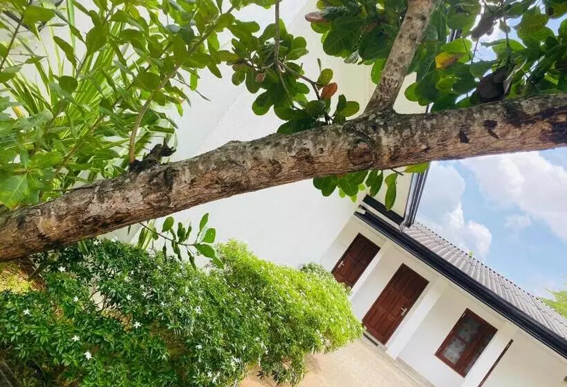 Premium Cottages B&b