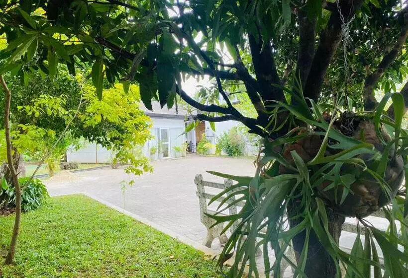 Premium Cottages B&b