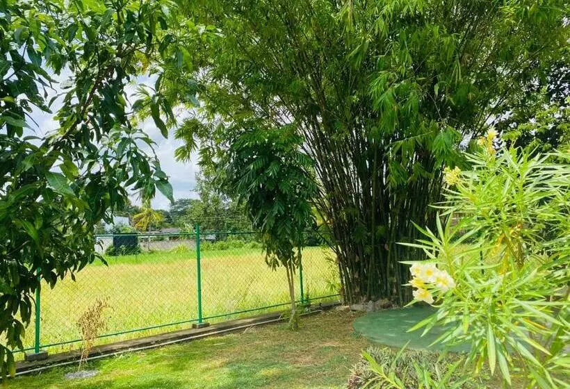 Premium Cottages B&b