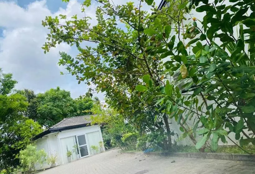 Premium Cottages B&b