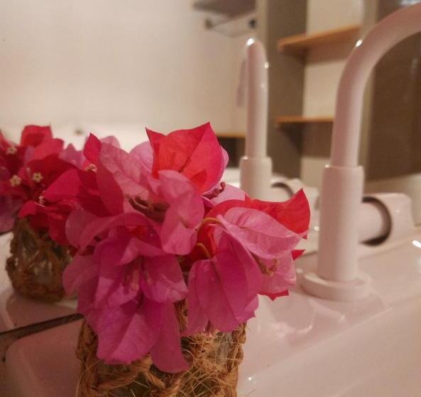 旅馆 The Jungle, Village & Beach