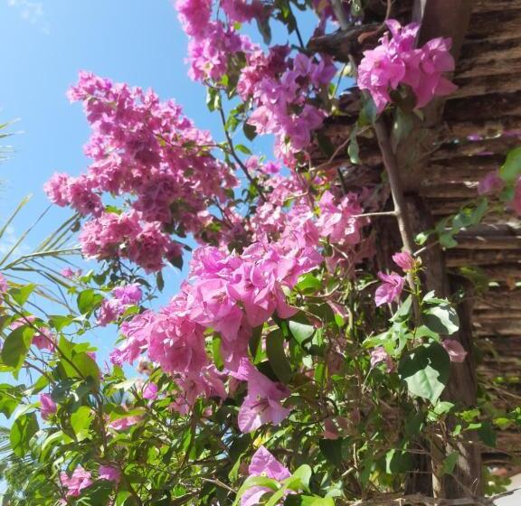 旅馆 The Jungle, Village & Beach