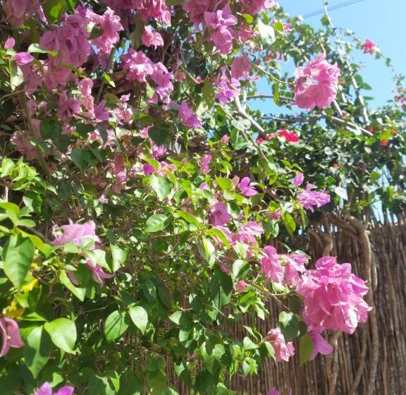 旅馆 The Jungle, Village & Beach