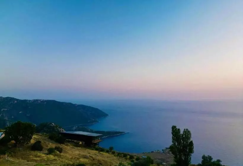 Aamiaismajoitus (B&B) Elm