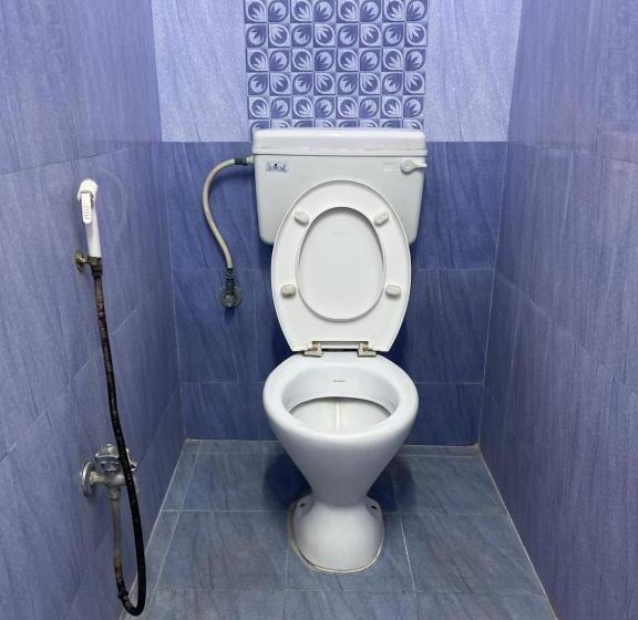 Hotel Balan Guest House