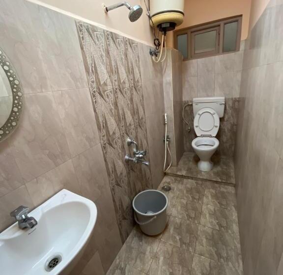 Hotel Balan Guest House