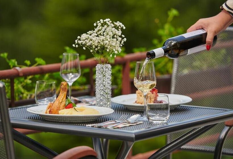 בית מלון כפרי Palace   Kúpele Sliač