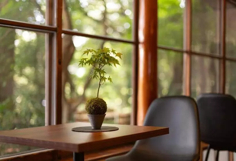 Majatalo 掬水 Kikusui