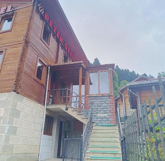 مبيت وإفطار Ayder Petek Apart Otel