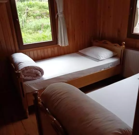 ベッドアンドブレックファースト Ayder Petek Apart Otel