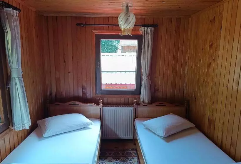 ベッドアンドブレックファースト Ayder Petek Apart Otel