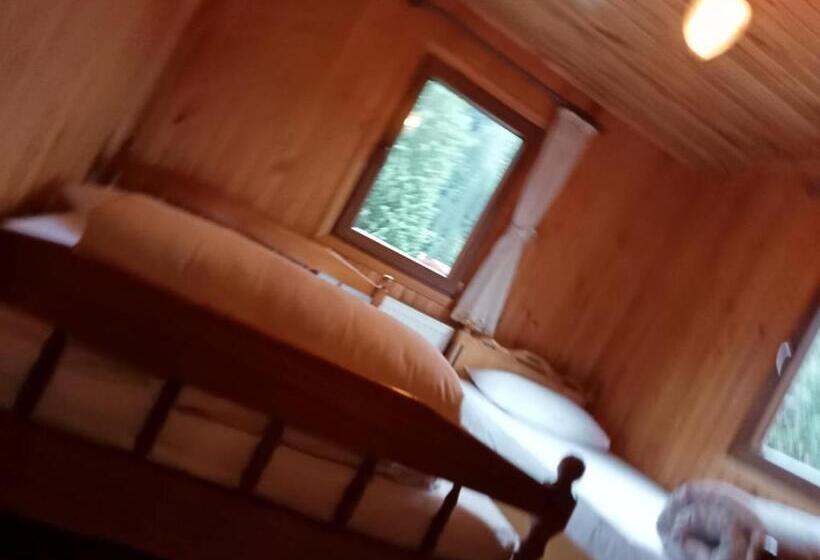 مبيت وإفطار Ayder Petek Apart Otel