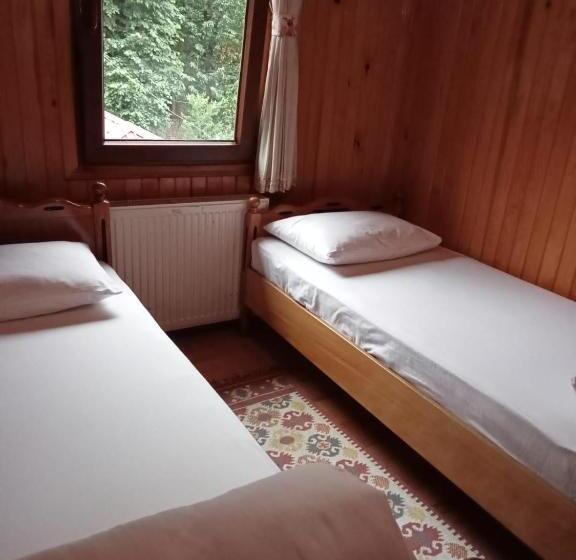 مبيت وإفطار Ayder Petek Apart Otel